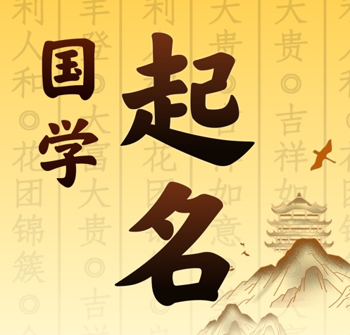 诸城国学起名 人工起名一对一